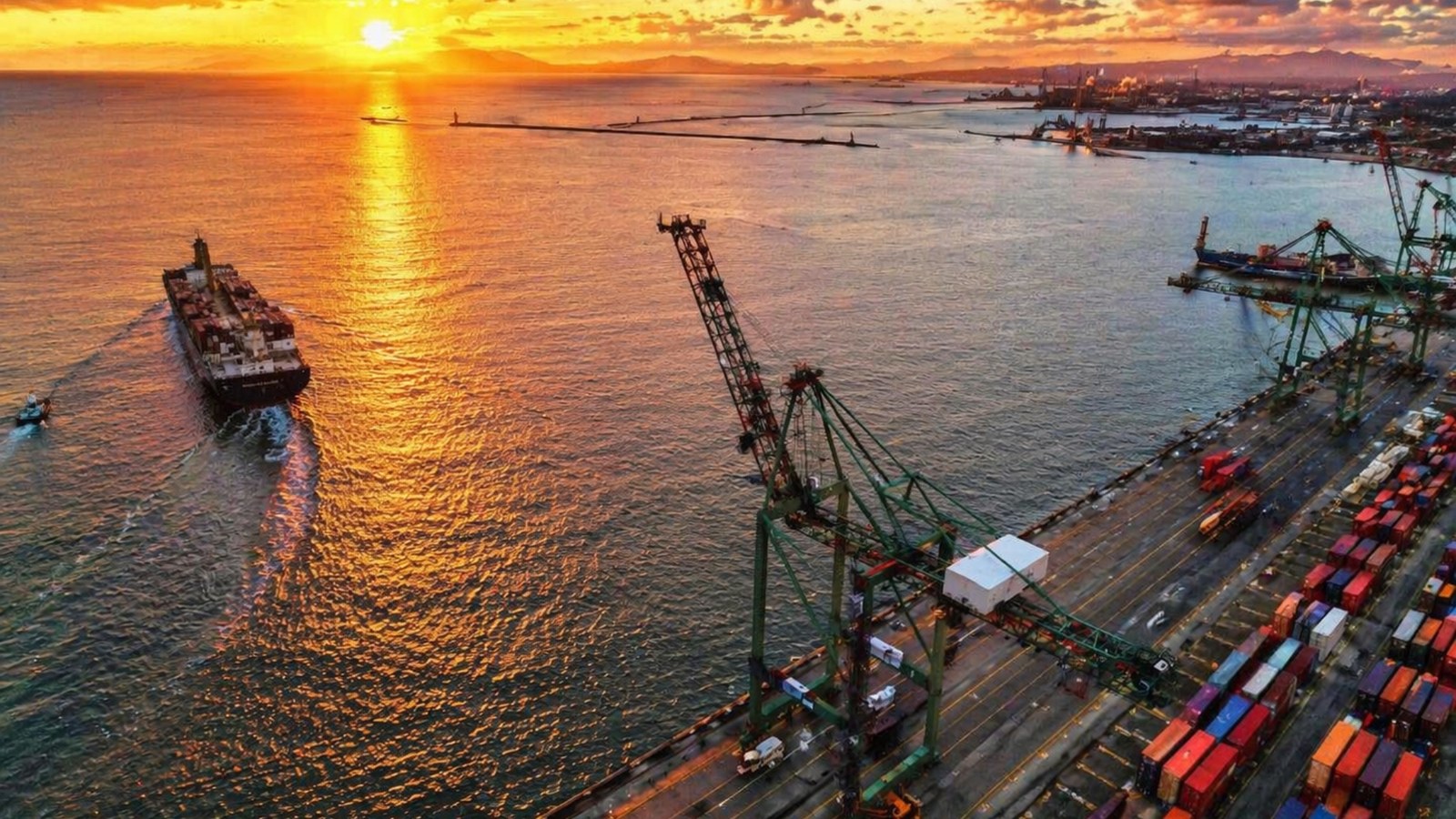 Global logistics and distribution